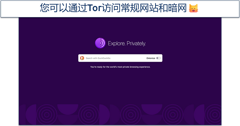 Screenshot of the Tor Browser homepage